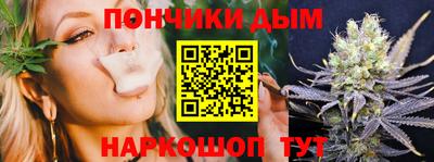 шишки Сланцы