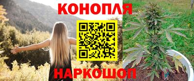 шишки Сланцы